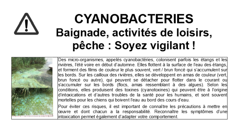 Affiche prévention cyanobactéries
