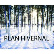 Photo 8 - plan hivernal