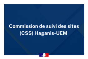 Commission de suivi des sites (CSS) Haganis-UEM