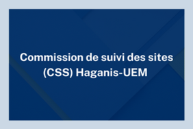 La commission de suivi des sites (CSS) Haganis-UEM 
