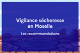 Vigilance sécheresse en Moselle : les recommandations