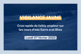 Vigilance jaune : Crues sur les cours d'eau Sarre aval Blies