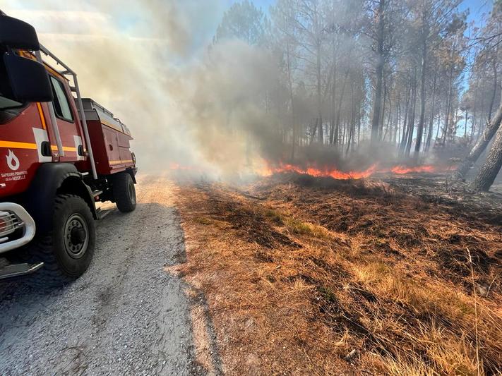 Été 2022  Les sapeurs-pompiers de Moselle en renfort contre les feux de forêt - photo 2
