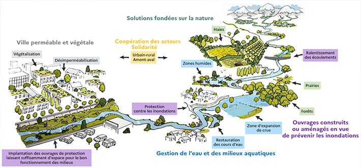 Infographie : districts hydrographiques