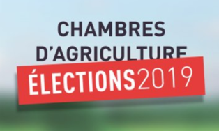 Résultats des élections professionnelles à la chambre d’agriculture de la Moselle